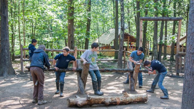 20170531-IMG_6370-8 boys cutting wood with bow saws